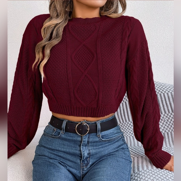 Waffle Cable Knit Crop Top Round Neck Long Sleeve Minimalist Sweater Shirt Red - Picture 3 of 9
